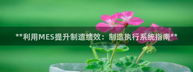 彩神vll官网-最新版app下载：**利用MES提升制造绩效：制造执行系统指南**