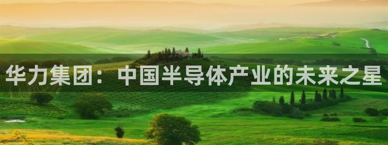彩神平台可以破解吗：华力集团：中国半导体产业的未来之星
