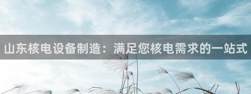 彩神通官方网：山东核电设备制造：满足您核电需求的一站式