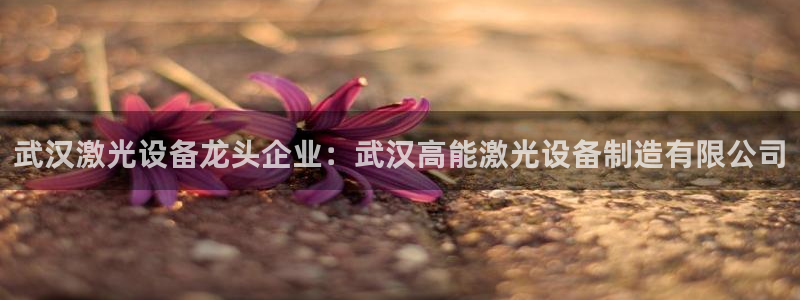 新版彩神v8登录教程：武汉激光设备龙头企业：武汉高能激光设备制造有限公司