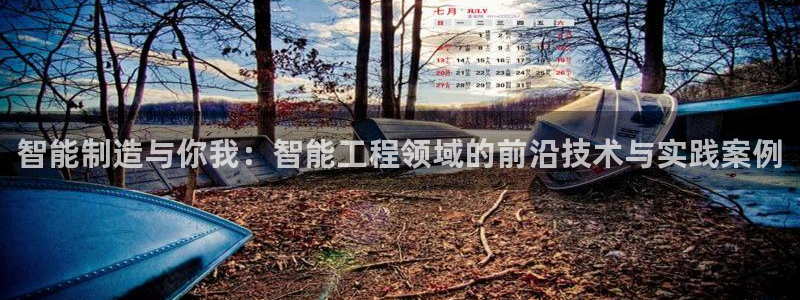 彩神v破解版：智能制造与你我：智能工程领域的前沿技术与实践案