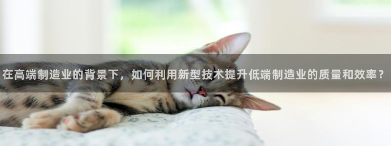 彩神旗下有哪些平台可以看：在高端制造业的背景下，如何利用新型技术提升低端制造业的质量和效率？
