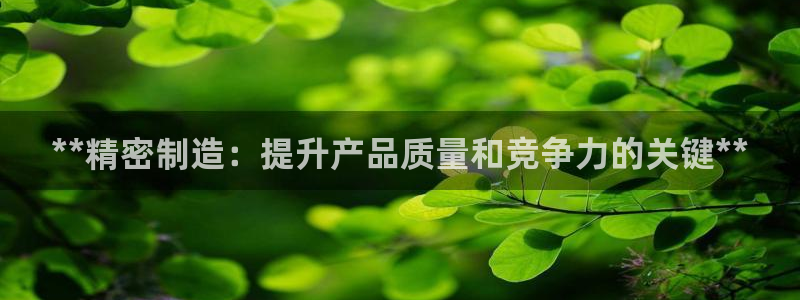 彩神viii是正规平台吗?：**精密制造：提升产品质量和竞争力的关键**