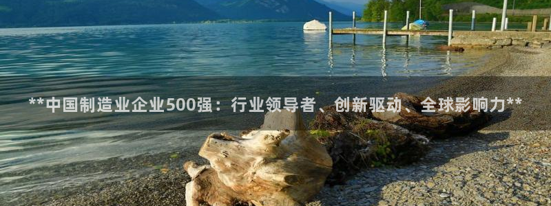 彩神赢钱了吗知乎：**中国制造业企业500强：行业领导者、创新驱动、全球影响力**