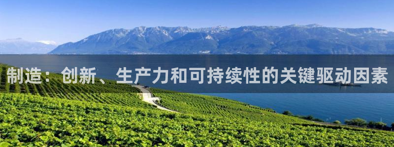 彩神v集团有限公司：制造：创新、生产力和可持续性的关键驱动因素