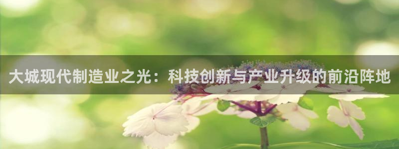 彩神赢了钱登录不上去：大城现代制造业之光：科技创新与产业升级