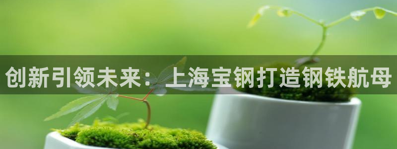 彩神vii官网：创新引领未来：上海宝钢打造钢铁航母