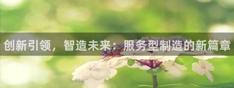 彩神v集团有限公司：创新引领，智造未来：服务型制造的新篇章