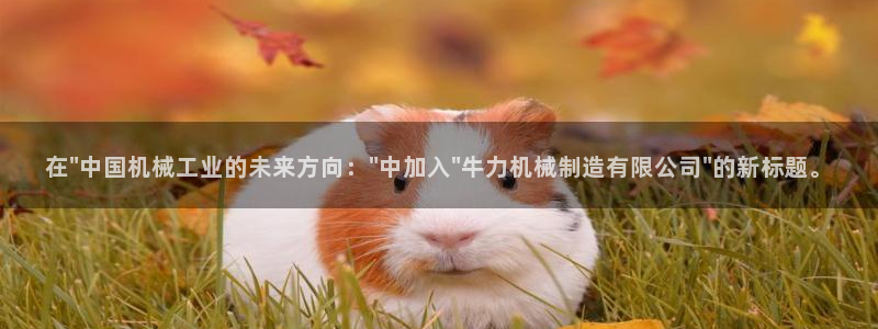 彩神v争霸有限公司：在\