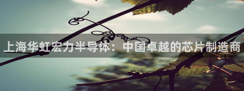 彩神iv能赚钱吗：上海华虹宏力半导体：中国卓越的芯片制造商