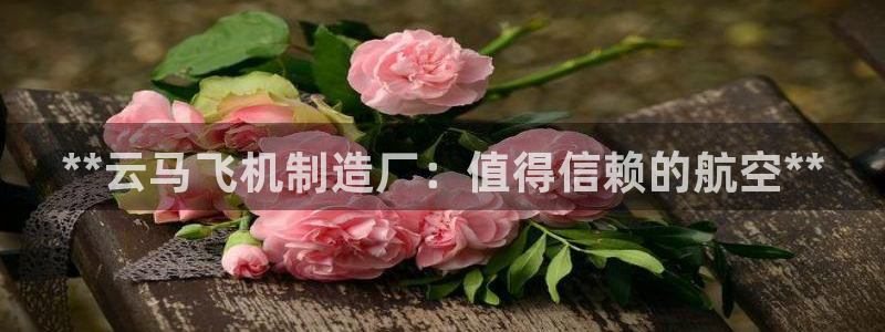 彩神网官网登录：**云马飞机制造厂：值得信赖的航空**