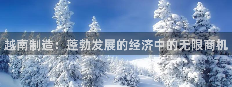 彩神x平台靠什么盈利：越南制造：蓬勃发展的经济中的无限商机