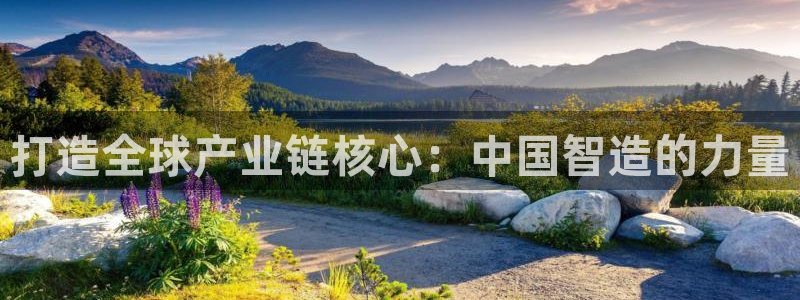 彩神v8手机客户端怎么下载：打造全球产业链核心：中国智造的力量