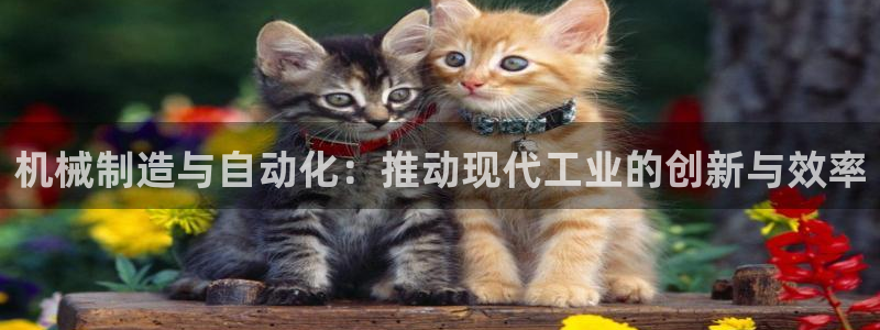 彩神vii手游下载：机械制造与自动化：推动现代工业的创新与效率