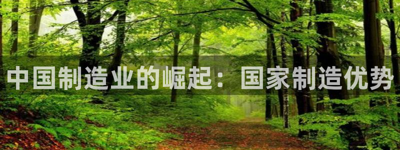 彩神v网赌软件下载：中国制造业的崛起：国家制造优势