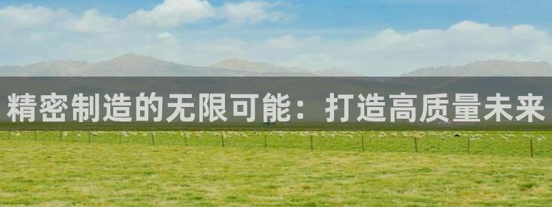 彩神VII购彩中心：精密制造的无限可能：打造高质量未来
