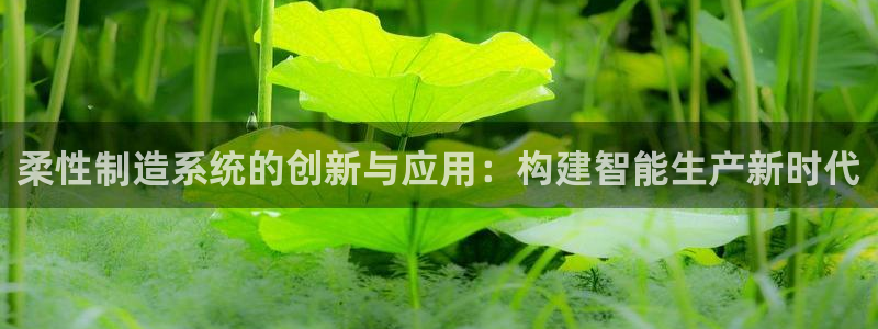 彩神v8有多久了?靠谱吗:柔性制造系统的创新与应用:构建智能 彩神v8有多久了?靠谱吗:柔性制造系统的创新与应用:构建智能